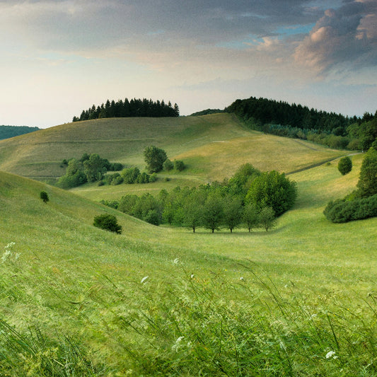 Green rolling hills with trees under a cloudy sky